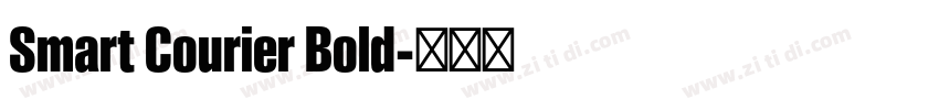 Smart Courier Bold字体转换